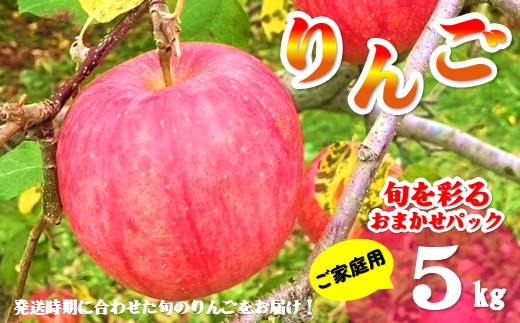 【北上市産 りんご 】 ＼ 予約受付 26年9月発送開始予定 ／ 旬を彩るおまかせパック 【 家庭用 】 5キロ (約13～20玉)  林檎 リンゴ 5kg 国産 東北 岩手 産地直送 送料無料 訳あ