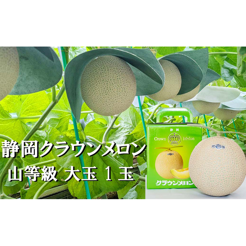 クラウンメロン山等級1.4kg前後　1玉入り 果物 メロン青肉 フルーツ デザート 高級メロンブランド 高級メロン ブランドメロン 