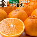 【ふるさと納税】＜2月より発送＞家庭用 不知火3kg+90g（傷み補償分）【デコポンと同品種・人気の春みかん】【わけあり・訳あり】※北海道・沖縄・離島への配送不可 ※2025年2月上旬～3月下旬頃に順次発送予定