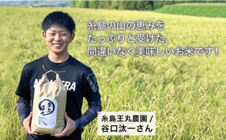 【全3回定期便】糸島産ヒノヒカリ10kg×3回 糸島市 / 糸島王丸農園(谷口汰一)【いとしまごころ】 [AAZ015] 米 5kg 送料無料 白米 玄米 精米 分つき 山水 ヒノヒカリ お米
