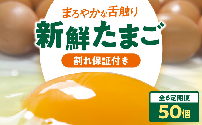 【全6回定期便】平飼い 海草たまご 5パック（50個入り）割れ保証あり 愛媛県大洲市/和田養鶏場 卵 たまご 鶏卵 卵料理 玉子 [AGDQ009]