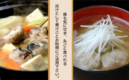 とろイワシ水煮 8缶セット 缶詰 千葉産直