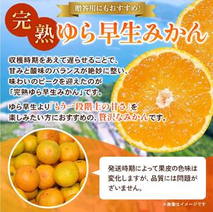 【先行予約】完熟ゆら早生みかん☆贈答用☆4.5kg ※2025年11月上旬頃より順次発送予定 / 和歌山県 柑橘 みかん 甘い 蜜柑 フルーツ 果物 くだもの 食品 人気 晩柑 おすすめ 送料無料 産
