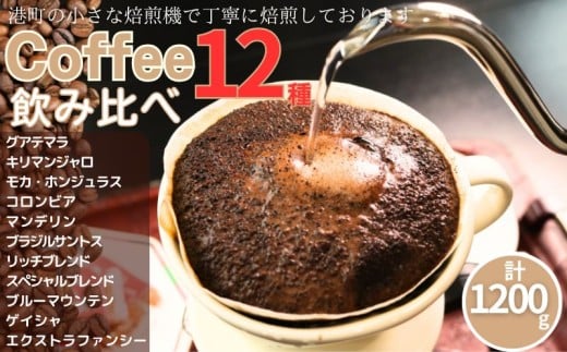 コーヒー 飲み比べ12種 各100g 計約1200g 粉 グアテマラ キリマンジャロ モカ ホンジュラス コロンビア マンデリン  ブラジル・サントス リッチブレンド スペシャルブレンド ブルーマウンテン ゲイシャ エクストラファンシー 自家焙煎  珈琲 ドリップ 粉コーヒー 挽き立て 挽きたて 焙煎仕立て セット 飲料 コーヒー飲料  贈答 お取り寄せ ふるさと納税 千葉県 銚子市 ティピカ