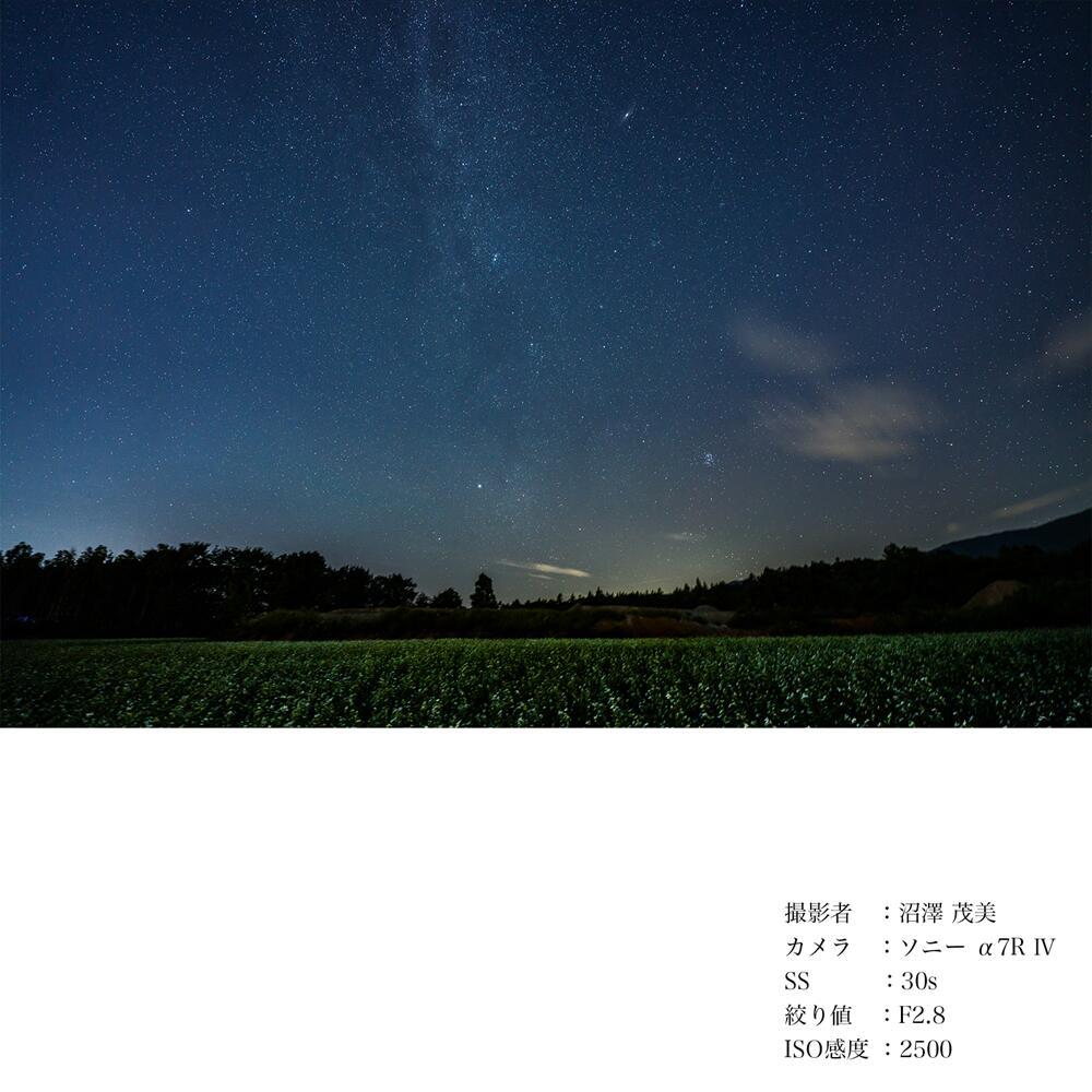 SIGMA 14-24mm F2.8 DG DN | Art 【Lマウント】カメラ レンズ 家電