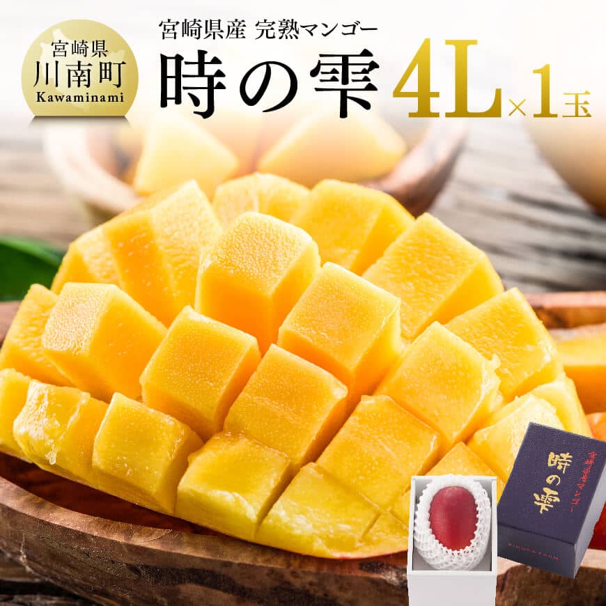 【ふるさと納税】【令和8年発送】宮崎県産 完熟マンゴー「時の雫」 4L×1玉 - 果物 フルーツ マンゴー 宮崎県産 九州産 完熟マンゴー みやざきマンゴー 先行予約 数量限定 期間限定 送料無料 C08603