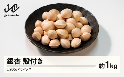 ≪先行予約≫2024年 山形県産 銀杏 殻付き L 約1kg（200g×5パック） 2024年10月上旬から順次発送 ぎんなん おつまみ 真空パック 個包装 小分け 秋 野菜 F20A-730