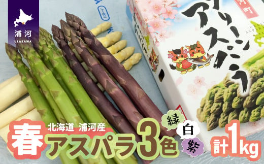 
【4月上旬頃より発送！】北海道浦河産 アスパラガス3色食べ比べセット(1kg)[03-133]
