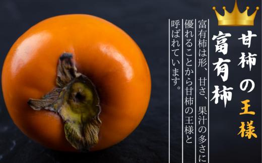 【先行予約】【JAわかやま】2Lサイズ 富有柿 10kg【2025年11月中旬～12月上旬に順次発送致します。】 柿 かき カキ フルーツ 果物 人気 旬【jan004A】
