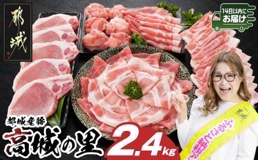「高城の里」わくわく2.4kgセット(真空)≪みやこんじょ快速便≫_16-84-001-2400g-R