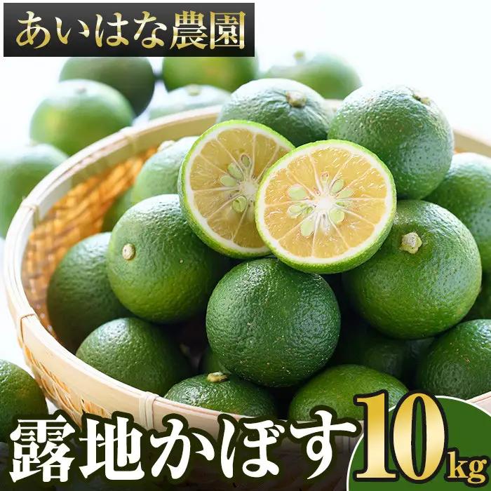 ＜先行予約受付中！2026年8月上旬以降順次発送予定＞露地カボス(約10kg)かぼす カボス 柑橘 特産品 大分県産【107100803】【あいはな農園】