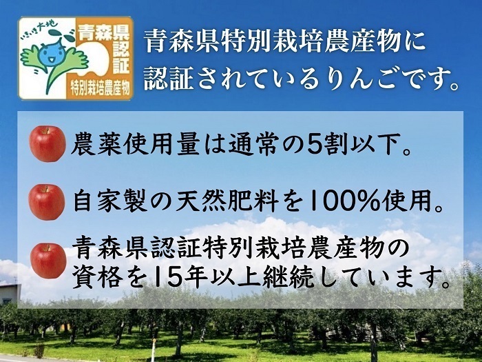 りんご 【 12月発送 】 特選 サンふじ 約 5kg （14～18玉程度） 青森県特別栽培農産物認証農園 【 弘前市産 青森りんご 】