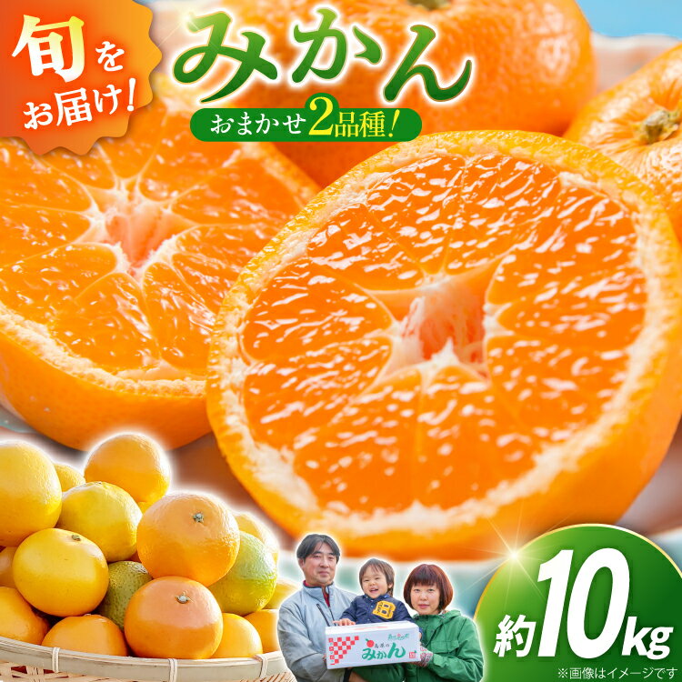 【ふるさと納税】 CC003 森崎果樹園のこだわり旬のみかんセット 10kg [みかん ミカン 旬 10キロ 長崎県 島原市]