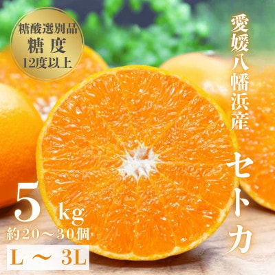 【みかんの大トロ】糖度12.0以上 酸1.4以下 糖酸選別品 愛媛セトカ 5kg【G20−65】【1620326】
