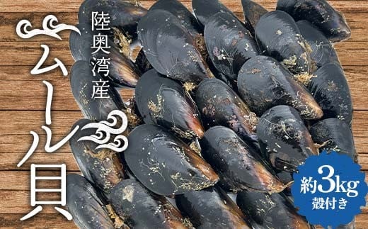 陸奥湾産 ムール貝 約3kg 【飛佳丸】 殻付き 活ムール貝 とれたて 新鮮 魚介 海鮮 漁師直送 パエリア パスタの具 青森県 平内町 東北 むつ湾 F21J-310