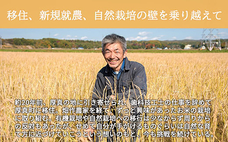 【全2回定期便】【玄米】 自然栽培米 角田玄米（ななつぼし）5kg《厚真町》【カクタファーム】[AXAR007] 米 お米 玄米 ななつぼし ご飯 北海道 定期便