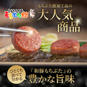 和豚 もちぶた ボロニア ピリ辛ボロニアソーセージセット 各1本 和豚 もち豚 豚肉 ポーク お肉 ピリ辛 肉 豚 ぶた ブタ 加工肉 アウトドア