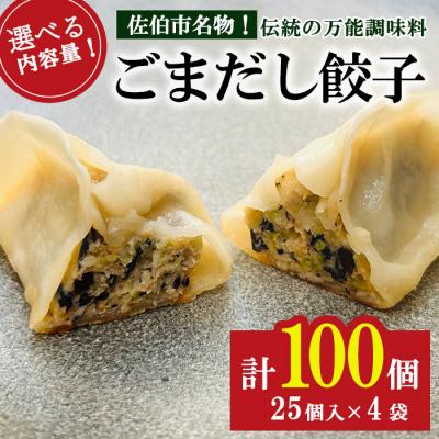 ふるさと納税 佐伯市 ごまだし餃子 (計100個)