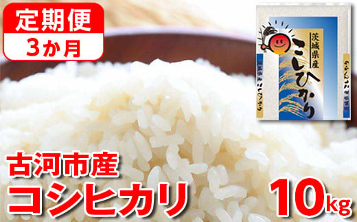 
【定期便 3か月】【新米】令和6年産 古河市産コシヒカリ 10kg（5kg×2袋）◇｜米 コメ こめ ごはん ご飯 ゴハン 白飯 単一米 国産 コシヒカリ こしひかり 10kg 定期便 3ヶ月 3回 茨城県 古河市_DP43
