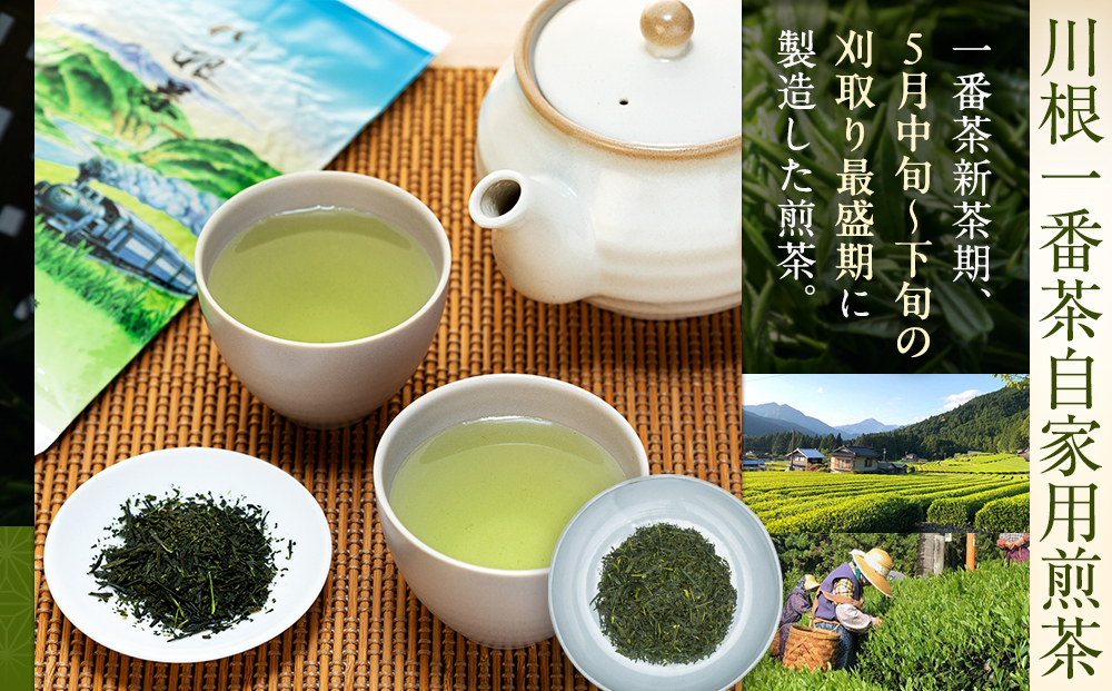 自家用煎茶100g×4本