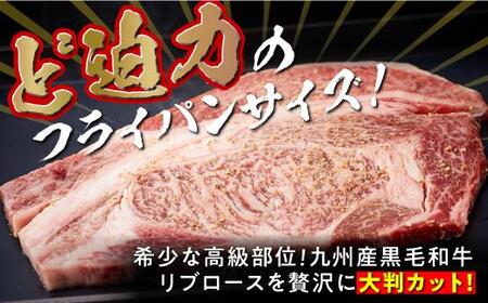 （復刻版）訳あり！九州産和牛ロース大判焼肉1ｋｇ（3枚～4枚）