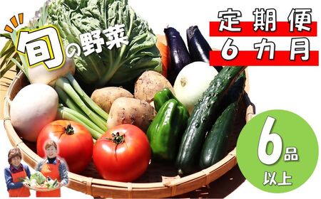 定期便6ヶ月 旬の野菜セットA(６品以上) I0089