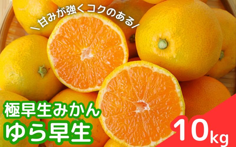 
                  【2026年分先行予約】極早生みかん ゆら早生　10kg【10月上中旬以降発送予定】 / 和歌山県 田辺市 みかん 早生みかん 柑橘【mrn007-2】
                