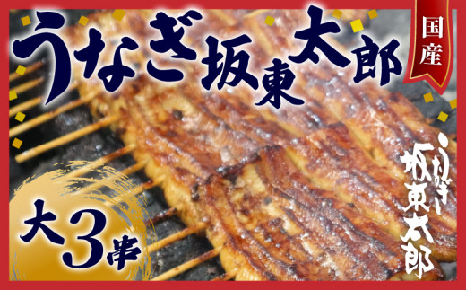 国産 うなぎ 蒲焼 大 3串 (1枚140g) 坂東太郎 鰻 うなぎ蒲焼 国産うなぎ 国産鰻 unagi うな重 ひつまぶし 丑の日 冷凍 食品 小分け 冷凍食品 簡単調理 人気 おすすめ 魚 魚介 魚貝 海鮮 弁当 惣菜 贈答 贈り物 プレゼント ギフト お取り寄せ 送料無料 ふるさと納税 ふるさと納税鰻 ふるさと納税うなぎ 千葉県 銚子市 忠平