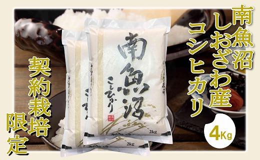 【令和7年産】【精米4Kg】契約栽培限定 南魚沼しおざわ産コシヒカリ【銘柄米 ブランド米 精米 こしひかり コシヒカリ 魚沼産 新潟米 産地直送 お米 米 こめ コメ ご飯 御飯 ごはん】