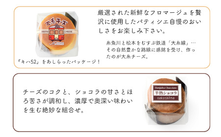 スフレチーズケーキ 『チーズとショコラのスフレセット』 9個入り 1箱 (大糸チーズ×6個、半熟ショコラ×3個) 優しい味わい ギフトにもおすすめ 新潟県 糸魚川市 ナカシマ 人気のスフレケーキにチョ