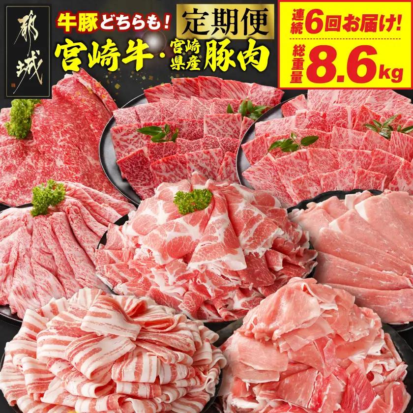 ≪6回連続お届け≫とにかくお肉大好き!宮崎牛と宮崎県産豚定期便M(総重量8.6kg)〔T96-6-N201〕_(都城市) 宮崎県産 牛肉 宮崎牛 豚肉 しゃぶしゃぶ すき焼き 焼肉 バラ ロース 肩ロース ウデ モモ