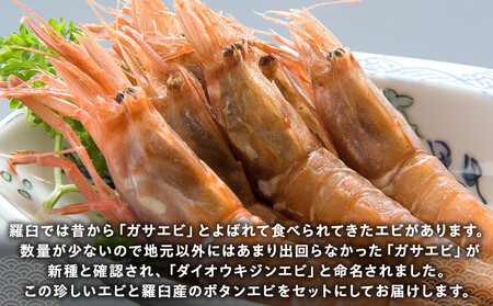 ダイオウキジンエビ(ガサエビ)とボタンエビのセット  えび エビ 海老 食べ比べ 魚介 魚介類 北海道 羅臼町 海産物 冷凍 刺身 フライ 生産者 支援 応援