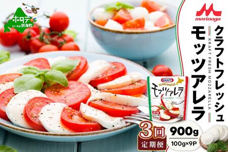 【定期便】森永乳業 モッツァレラチーズ 計900g(100g×9P)×3ヵ月【全3回】チーズ 北海道 別海町