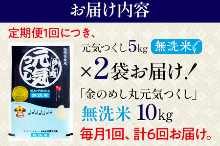 【無洗米】 令和8年産 金のめし丸 元気つくし 合計60kg 10kg (5kg×2袋) ×6回 定期便 白米 精米 お米