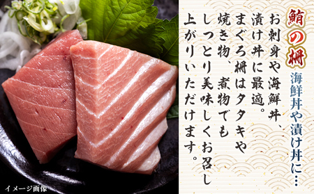 【6回定期便】まぐろ柵 5袋(500g以上) - 定期便 国産 刺身 ブロック 海鮮丼 漬け丼 煮物 生食 焼き物 鮪 マグロ 小分けパック 柵どり さく取り 海鮮 新鮮 魚介 産地直送 龍馬の海鮮隊