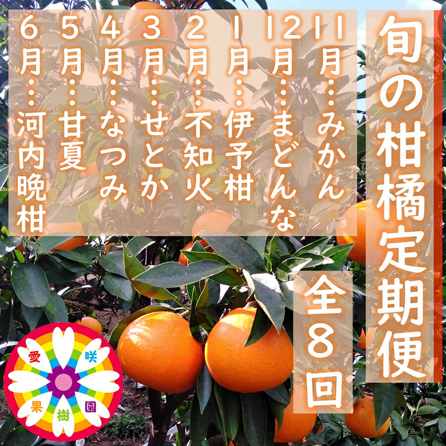 【ふるさと納税】【発送月固定定期便】愛咲果樹園「旬の柑橘定期便」(11月～6月)全8回【71-78】ふるさと納税 みかん ミカン 柑橘 くだもの 果物 フルーツ 温州 甘い 常温 デザート 産地直送 産直 愛媛 YWTS071
