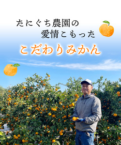 みかん 2S-Lサイズ不揃い たにぐち農園の 早生 温州みかん (マルチ栽培) 5kg【2026年11月中旬～12月中旬に順次発送】/ みかん フルーツ 果物 くだもの【mtn005A】
