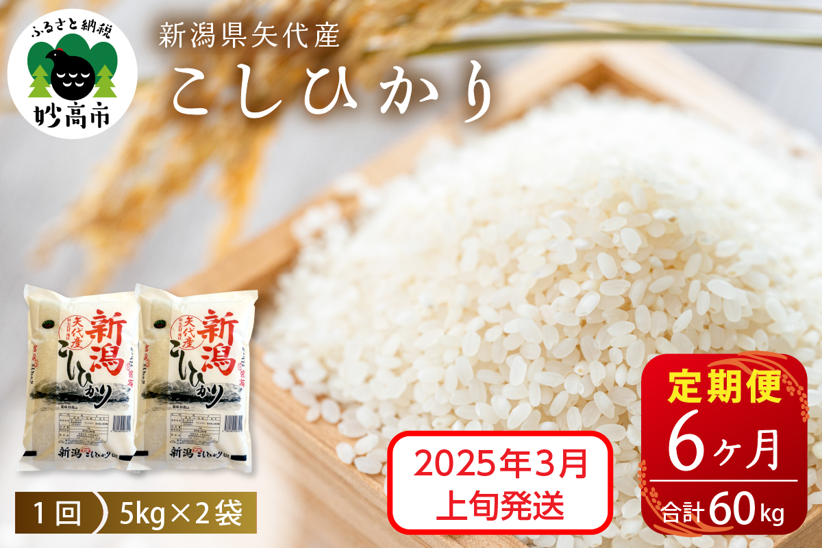 【2025年3月上旬発送】【定期便】令和6年産 新潟県矢代産コシヒカリ10kg(5kg×2袋)×6回（計60kg）