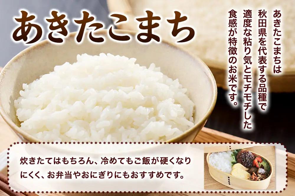 あきたこまち ＜令和8年産 新米受付＞ 白米 10kg（5kg×2袋） 鈴木農産