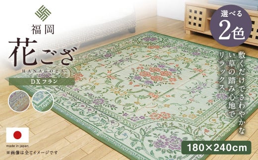 福岡 花ござ DXフラン 180×240cm（ベージュ/グリーン）カーペット ラグ