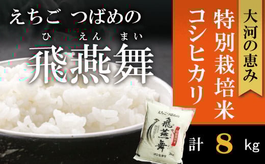 
            令和6年産 厳選コシヒカリ えちごつばめの飛燕舞 白米8kg FC020257
          