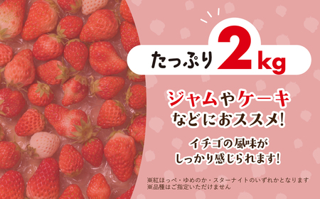 ブランドイチゴ たっぷり 約2kg 訳あり (約250g×8パック) 詰め合わせ イチゴ 甘いイチゴ 農家直送イチゴ ブランドイチゴ 愛知県 イチゴ