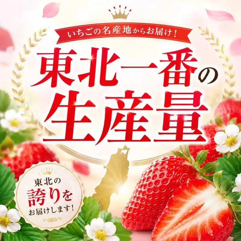 いちご イチゴ 苺 先行予約 12月発送 家庭用 もういっこ 宮城県亘理町産 500g 250g×2パック 小分け 冷蔵配送 国産 フルーツ 返礼品