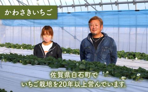 【先行予約】【農家直送】赤白いちご「いちごさん」＆「パールホワイト」セット 各220g【かわさきいちご】 [IBG002]