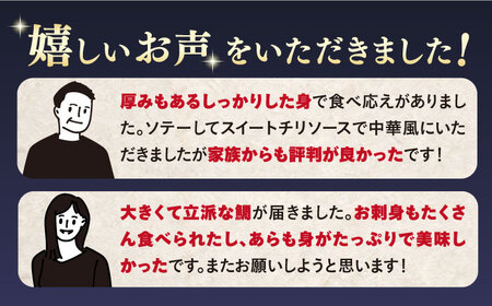 【下処理済で安心！】 真鯛 のフィレ（皮付き2切れ＆皮なし2切れ）＋あら＜大島水産種苗＞ [CBW005] 長崎 西海 魚 海鮮 鯛 タイ 真鯛 マダイ 鯛 刺身 魚 ブロック 刺身 ブロック 魚 タ