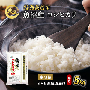 特別栽培米 お米アドバイザー厳選 魚沼産 コシヒカリ 精米 5kg 6ヶ月 連続 （ 米 定期便 こしひかり 特別栽培 魚沼 精米 お米 定期 新潟 魚沼産コシヒカリ 魚沼産こしひかり こめ お楽しみ 6回 ）