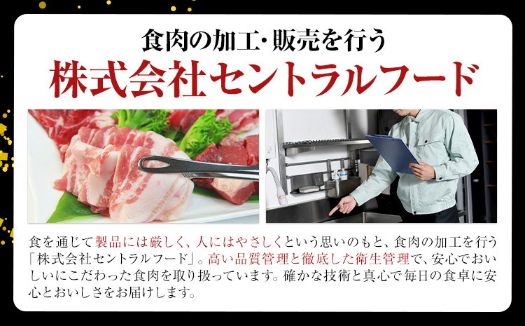茨城県産 豚肉 ロース スライス 500g 1パック 500g 株式会社セントラルフード 《30日以内に出荷予定(土日祝を除く)》肉 豚肉 ロース 国産 スライス 生姜焼き 茨城県 結城市---yuk