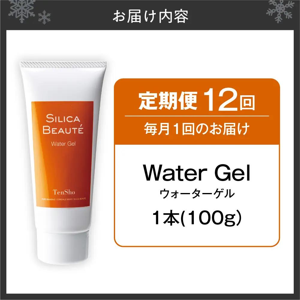 【12ヶ月定期便】シリカボーテ　ウォーターゲル100g | 化粧水 ゲル 保湿 スキンケア 美容 北海道 札幌市