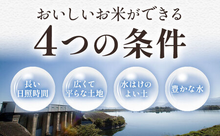 【最短7日発送】徳島ふるさと実り米 5kg 白米
