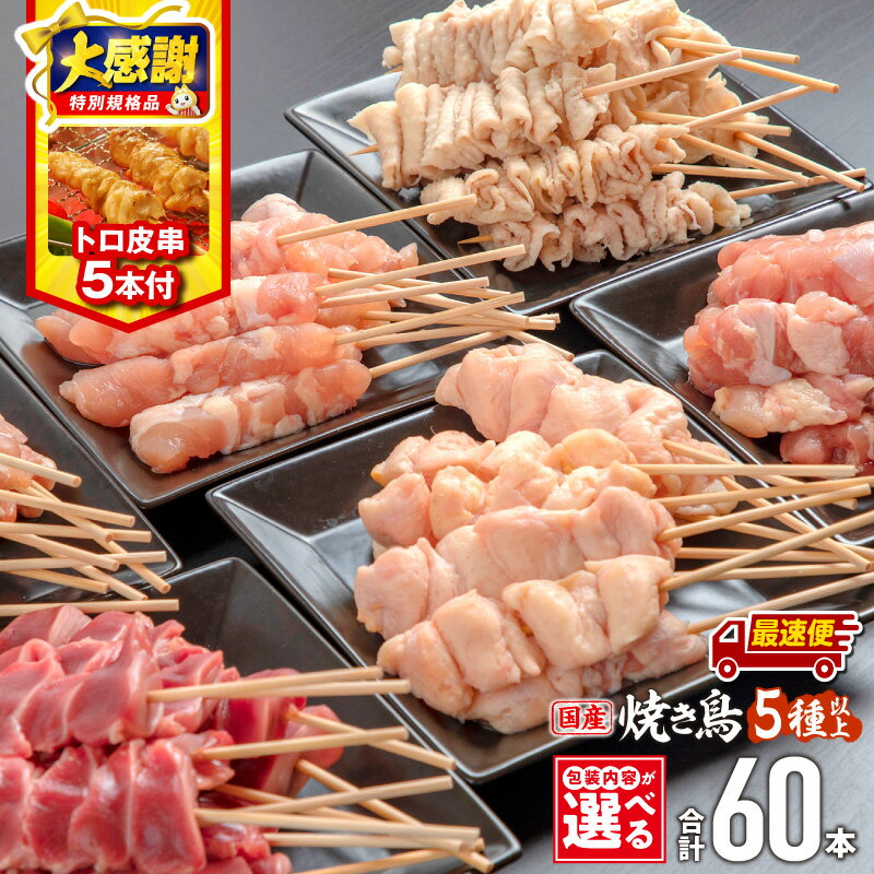 【ふるさと納税】バラ凍結が便利！【大感謝祭】【数量・期間限定】【包装内容・発送時期が選べる】若鶏の焼き鳥セット(60本)盛り合わせ・トロ皮串5本付き 部位 もも せせり 皮 ぼんじり 砂肝 カタ 鶏肉 肉 お肉 鶏 若鶏 焼き鳥 焼き鳥セット 小分け パック 人気 ふるさと